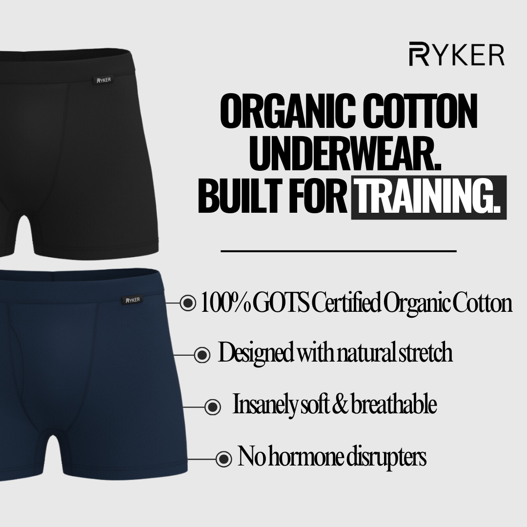 A single green leaf against a white background.